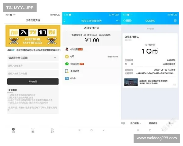 如何选择最优质的点券软件提升购物体验与节省开支