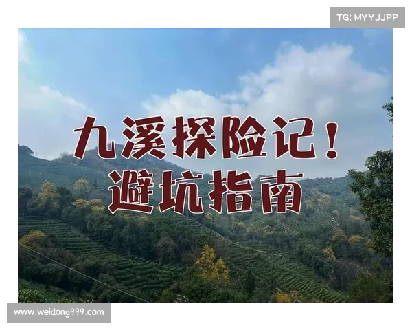 摩尔庄园探险指南揭秘如何快速找到隐藏宝藏的技巧与方法
